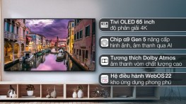 Smart Tivi OLED LG 4K 65 inch 65G2PSA